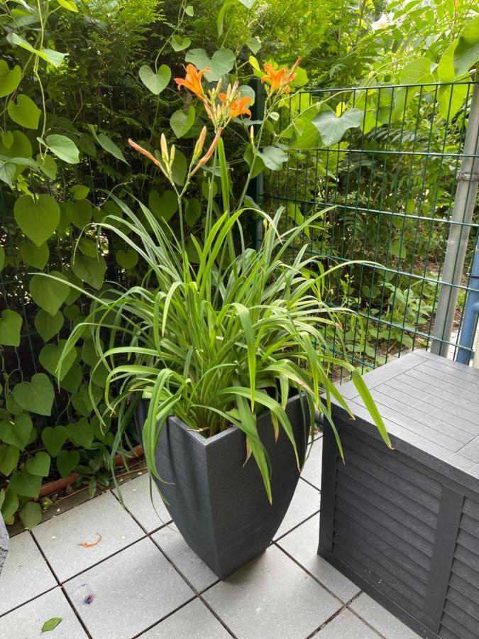 Sonnige Wohnung Im Zentrum Mit Terrasse U Tiefgarage - Netflix & Prime Leipzig Luaran gambar
